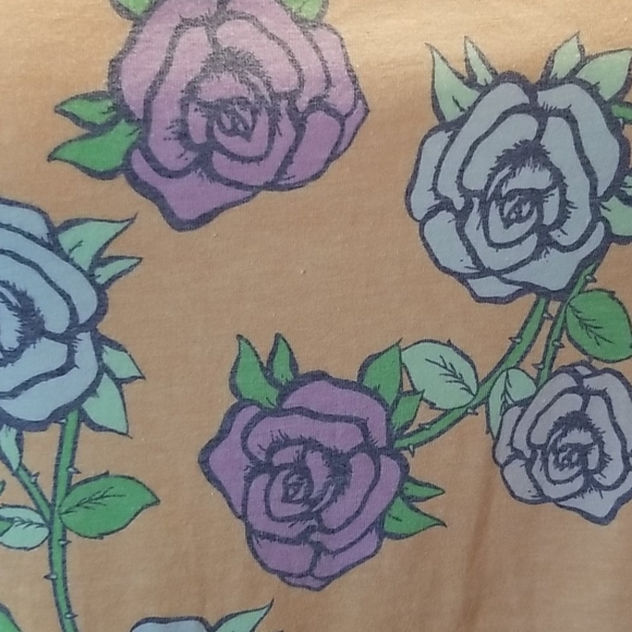 Lularoe classic t size large - Picture 2 of 5